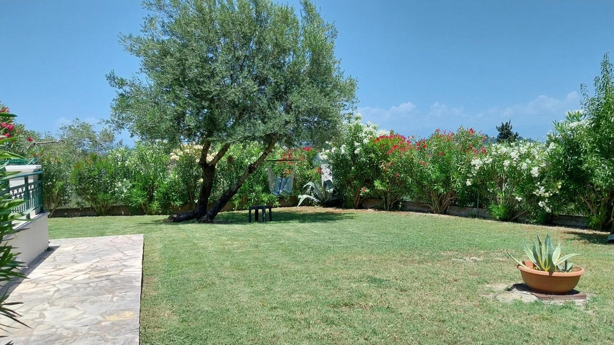 Villa Gecko, Arillas Kavvadades Экстерьер фото